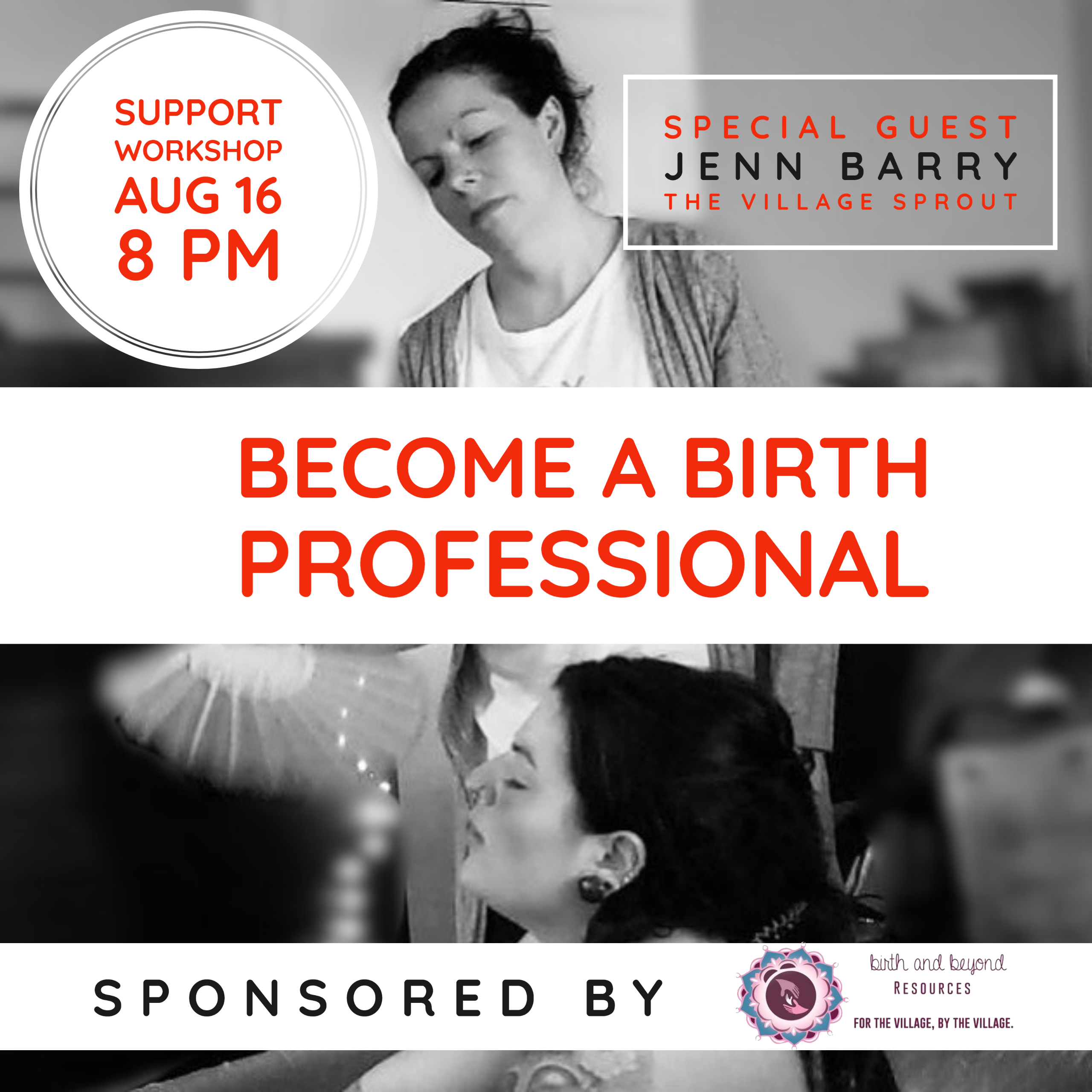 how to become a birth professional