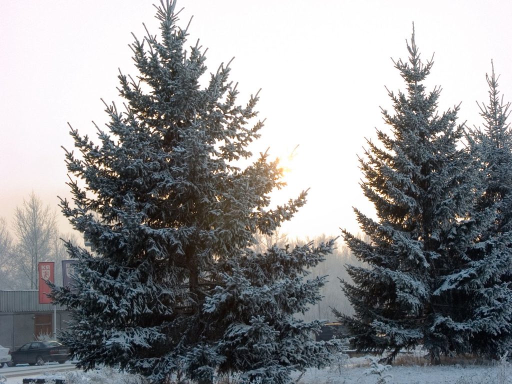 December 2018