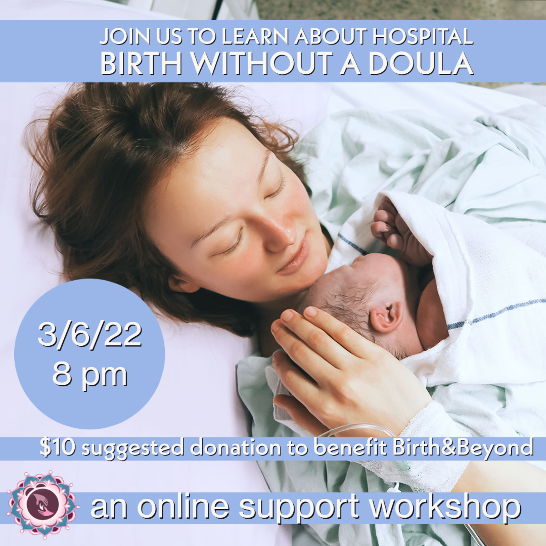 Home Birth 101 Support Workshop