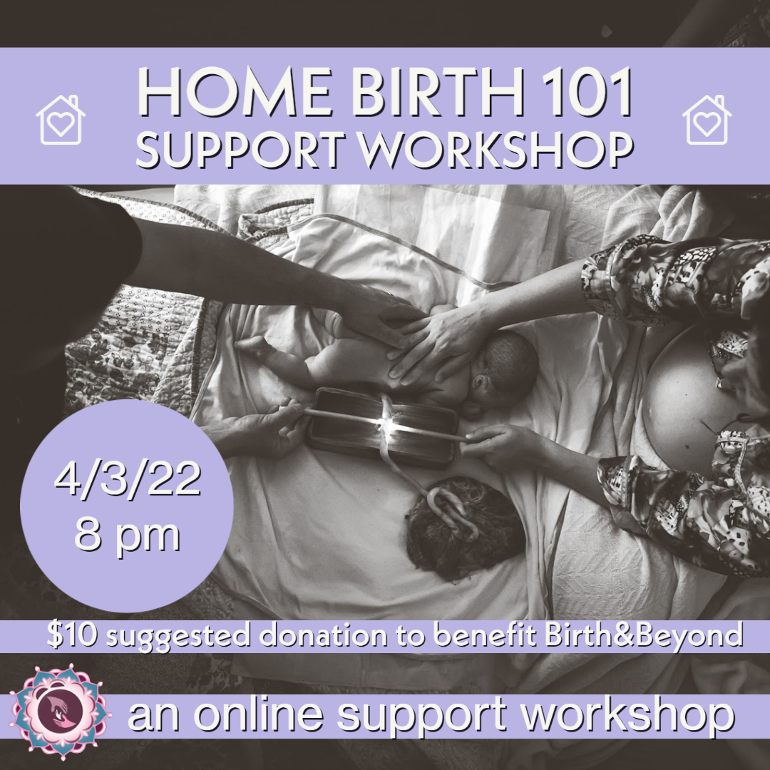 HomeBirth 101 Support Workshop